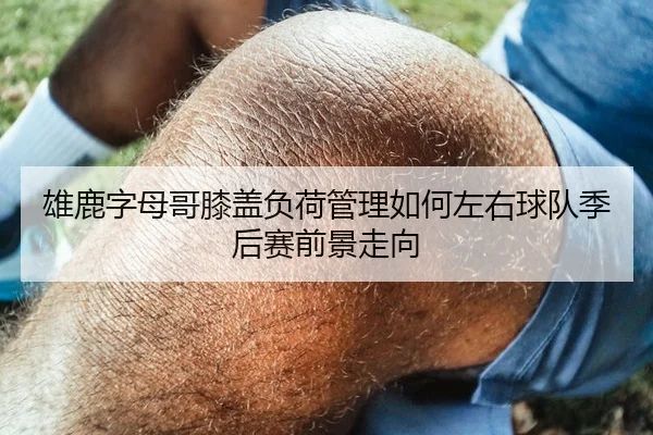 雄鹿字母哥膝盖负荷管理如何左右球队季后赛前景走向 - leyu