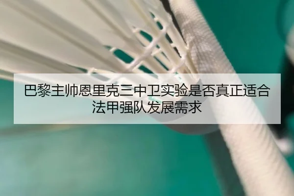 巴黎主帅恩里克三中卫实验是否真正适合法甲强队发展需求 - leyu