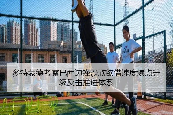 多特蒙德考察巴西边锋沙欣欲借速度爆点升级反击推进体系 - leyu